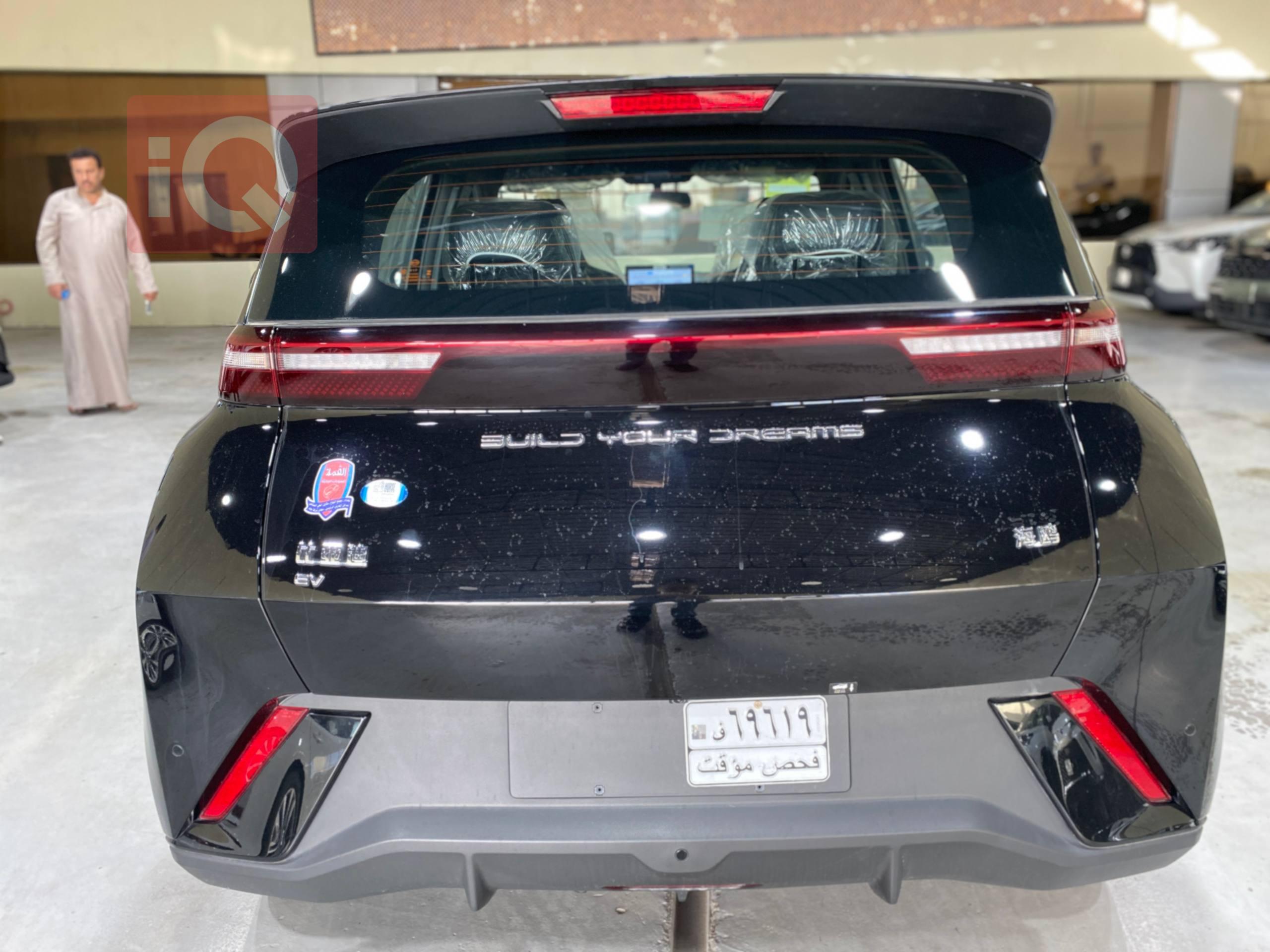 BYD Seagull